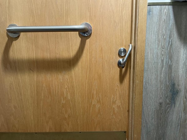 Image of a toilet door with handle