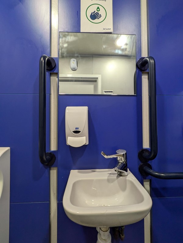 Image of the sink of an accessible toilet