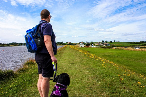 Looking back towards the main facilities, the accessible grass path stretches out into the distance. Yellow flowers line both sides of the path but it is plenty wide enough.