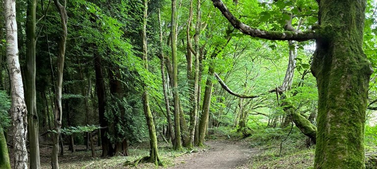 North Downs Way