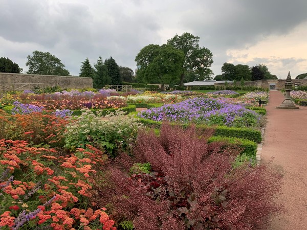 The gardens at Saughton Park