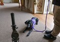 Assistance dog lying next to a man's feet. The handle of a mountain trike is in the foreground.