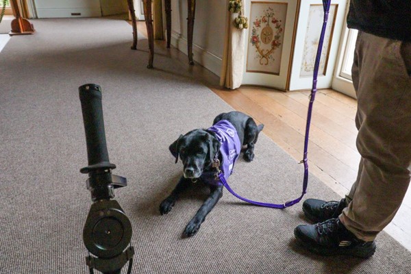 Assistance dog lying next to a man's feet. The handle of a mountain trike is in the foreground.