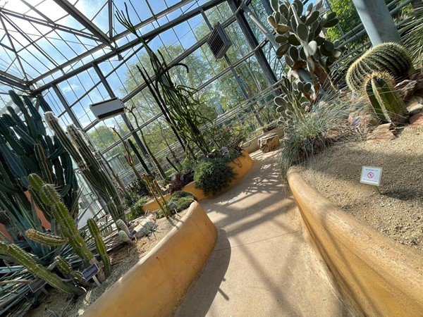 Inside the cats area of the glasshouse and some giant, prickly plants to keep well away from