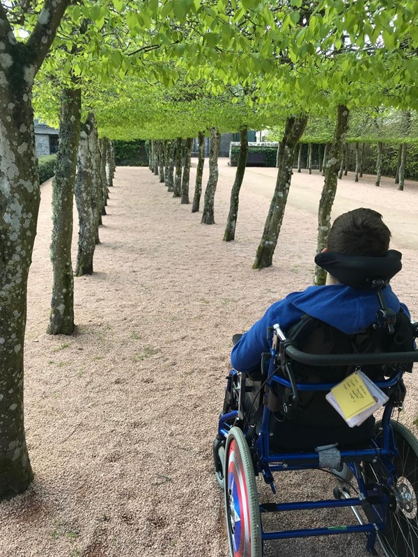 Gravel areas under tree archway