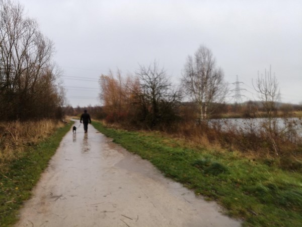 Very wet footpath around the country park. Huge puddles are covering the whole path.