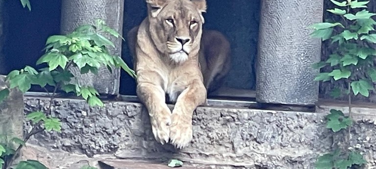 ARTIS Amsterdam Royal Zoo