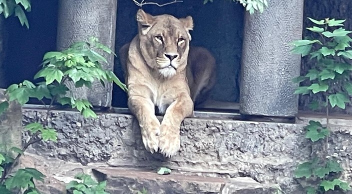 ARTIS Amsterdam Royal Zoo