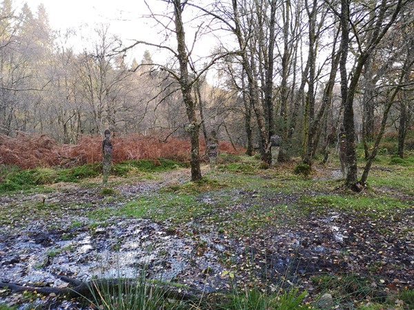 Picture of The Lodge Forest Visitor Centre, Stirling