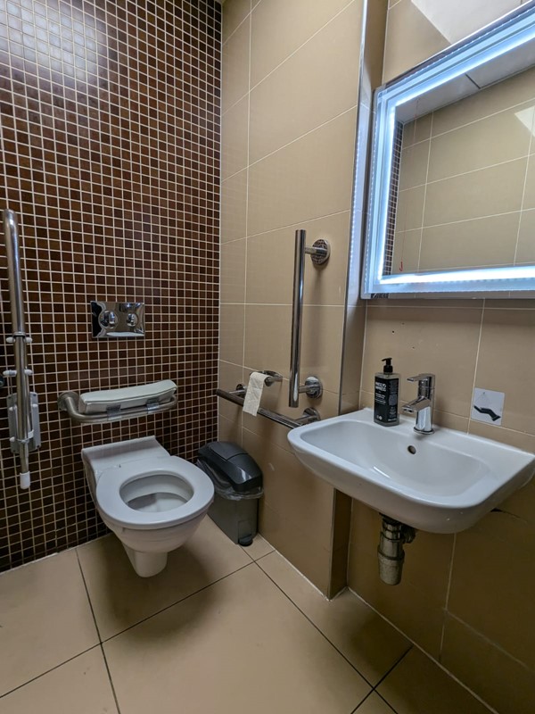 Image of a sink and toilet