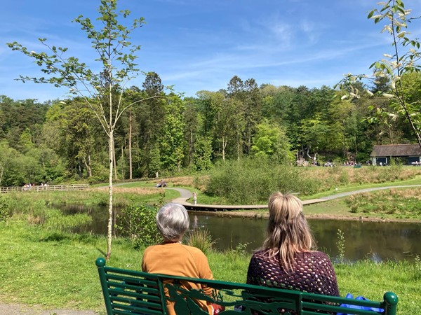 Benches with nice views