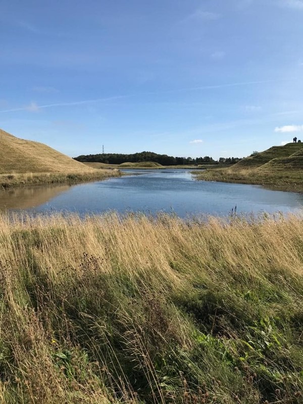 Picture of Northumberlandia