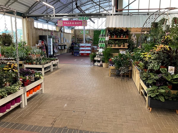 Another image of around the inside of the garden centre.