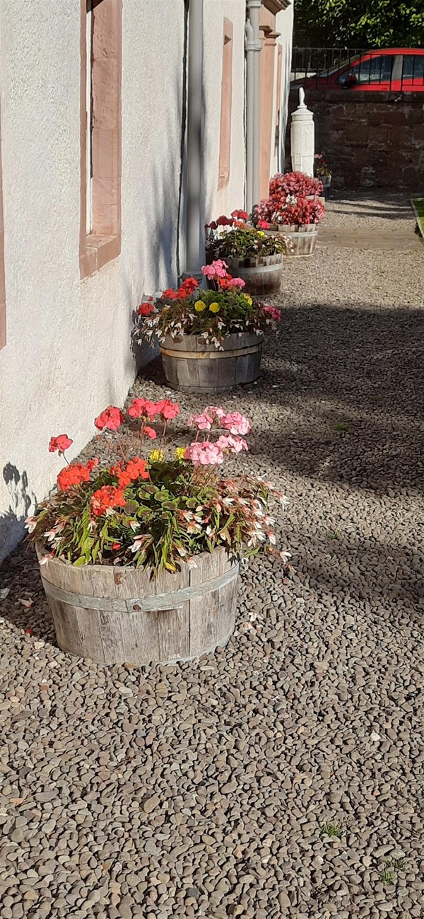 Image of flowerpots