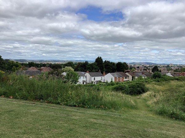 Picture of parkland and houses