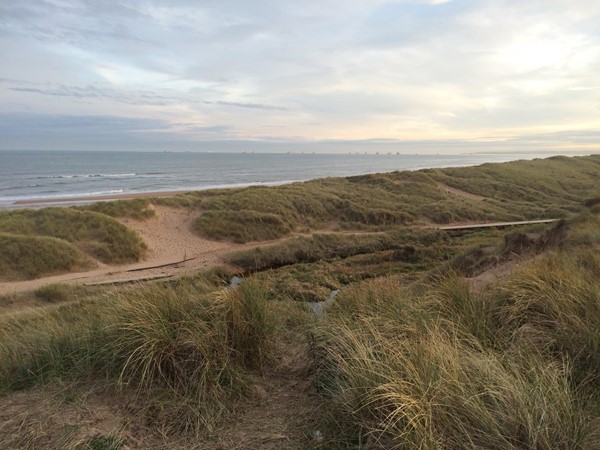 View of the boardwalk to the beach.