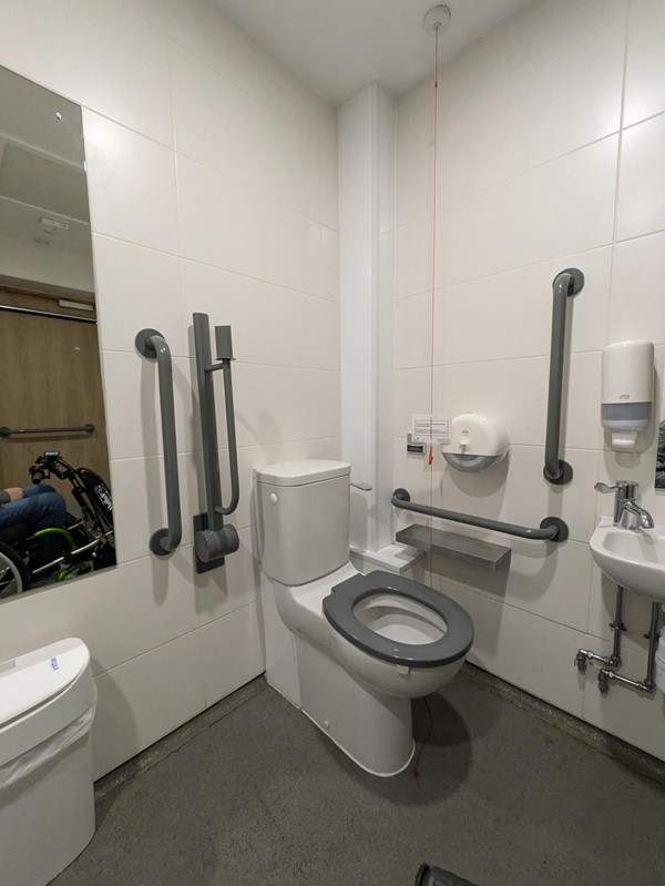 Image of the toilet in another accessible toilet in the station