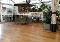 Picture of Stewarts Garden Centre