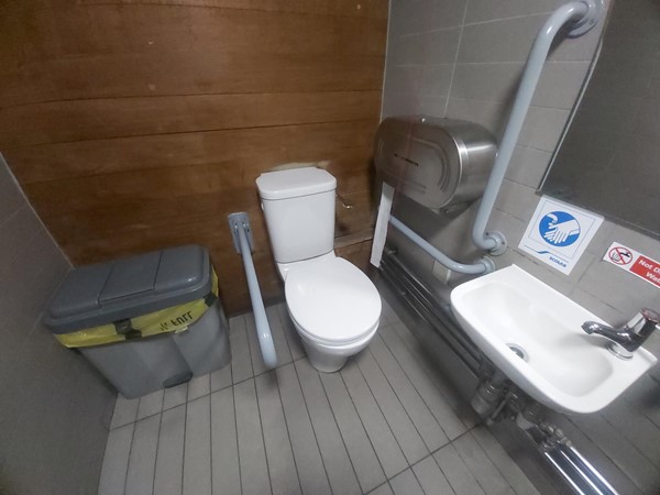 Image of an accessible toilet