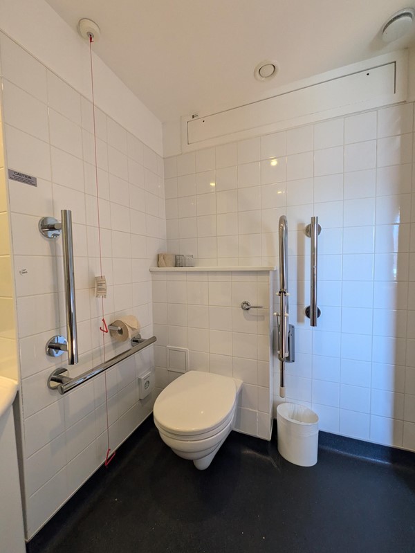 Image of the toilet in the accessible room