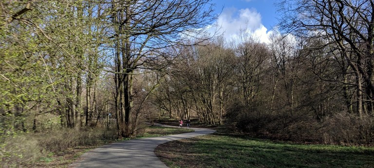 Scheveningen Woods