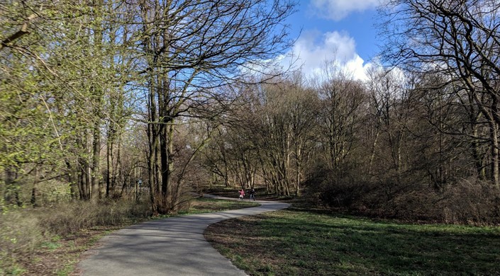 Scheveningen Woods