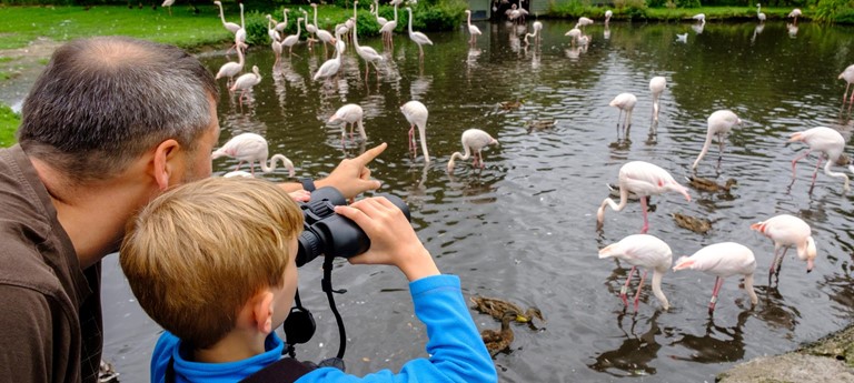 WWT Martin Mere Wetland Centre