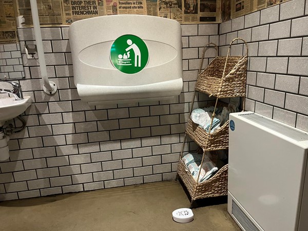 Picture of accessible toilet