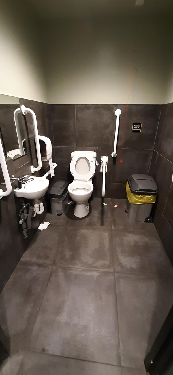 Image of an accessible toilet