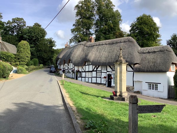 Thatched houses