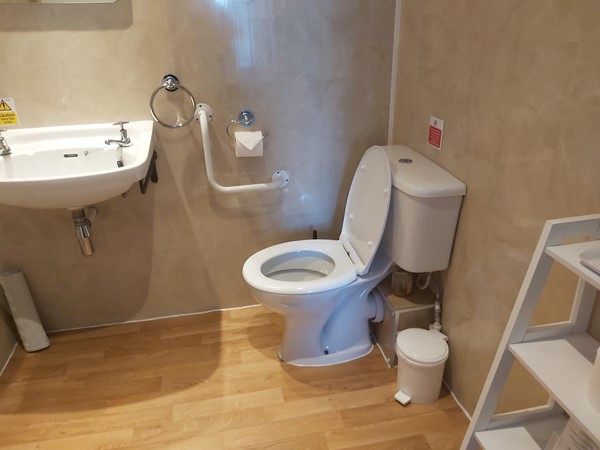 Image of toilet in bathroom with grab rail and sink