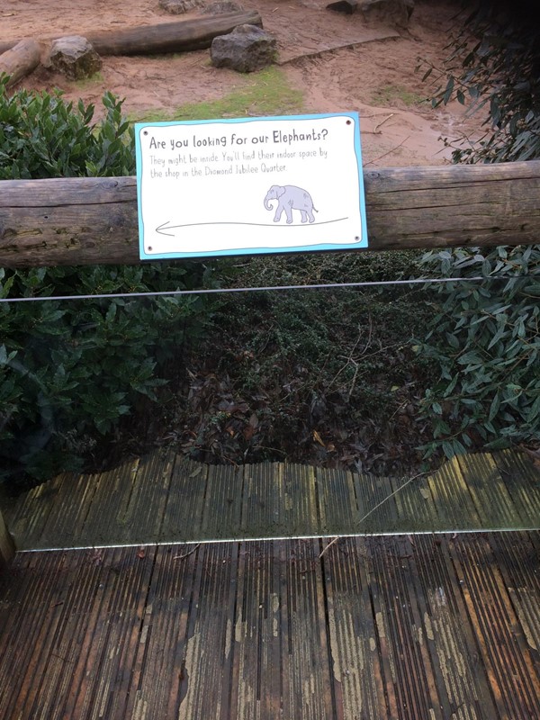 Glass viewing area for wheelchair users