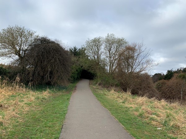 Picture of Brunstane Burn Path