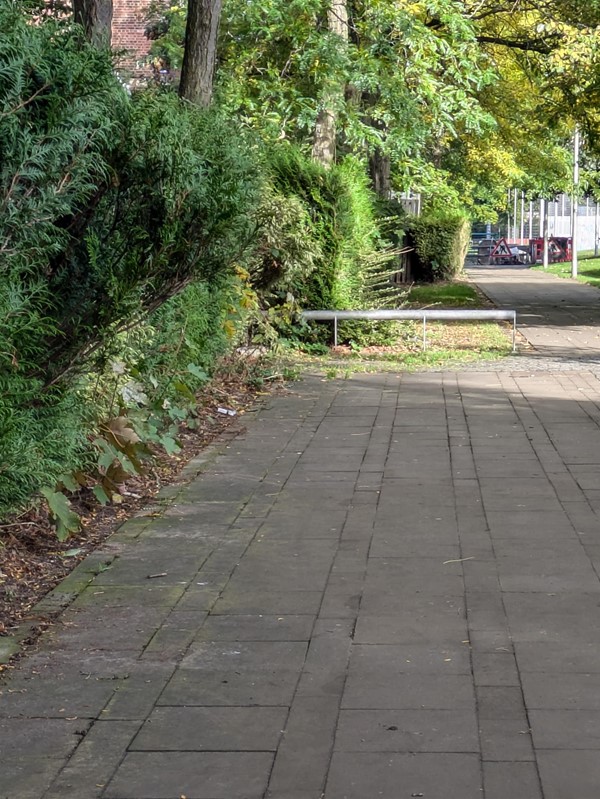 Image of a flat path bordered trees on the left