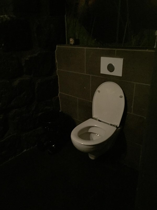 Picture of Fish Company - Accessible Toilet