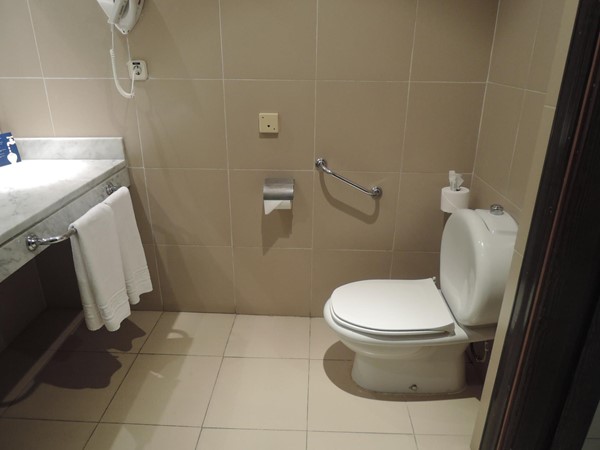 Toilet in bathroom with grab rail