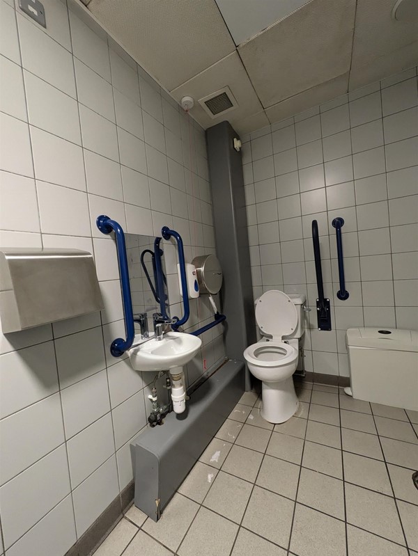 Image of accessible toilet, a toilet and sink with grabrails on either side