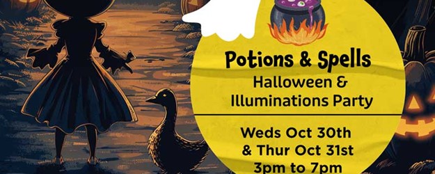 Potions and Spells: Halloween & Illuminations Party article image