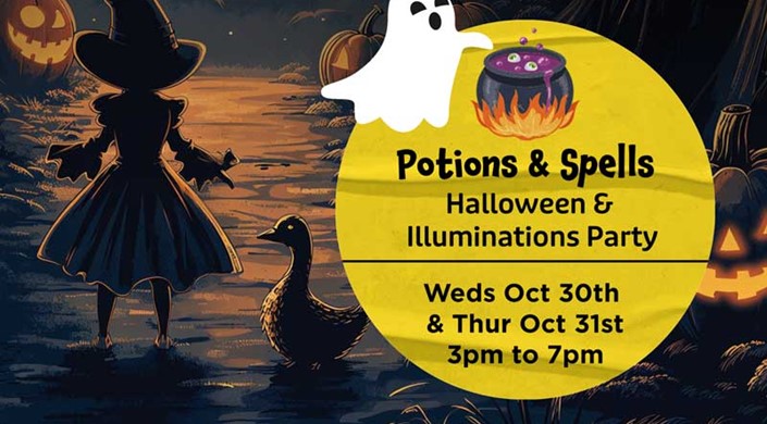 Potions and Spells: Halloween & Illuminations Party