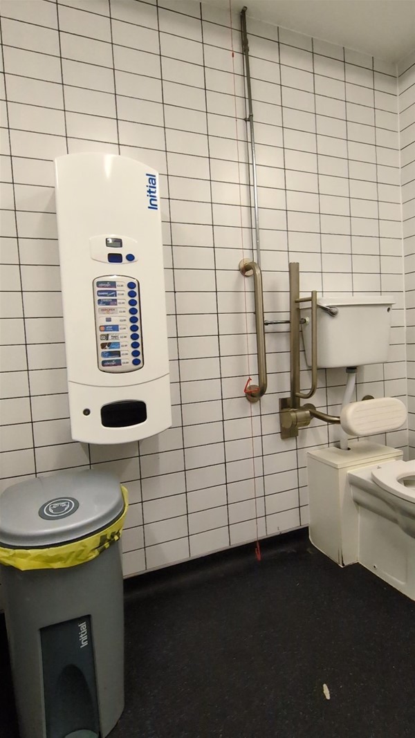 image of toilet and grabrails  in the Changing Places toilet