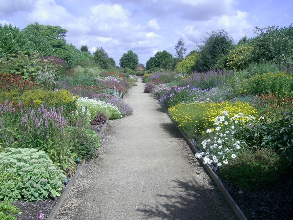 Picture of Breezy Knees Garden