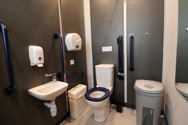 Accessible toilet with rails and red cord.