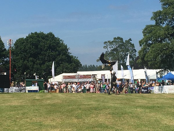 Photo of the Scottish Game Fair.