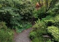 Image of a path through a garden