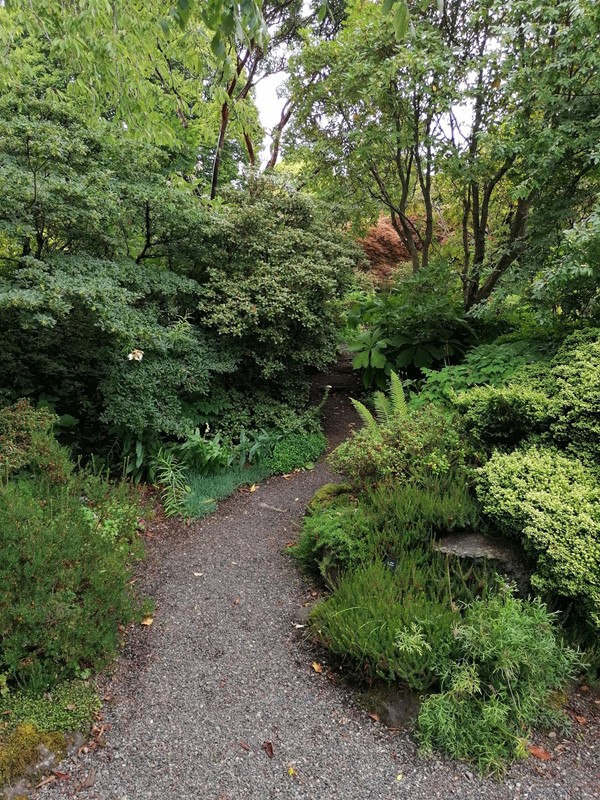 Image of a path through a garden