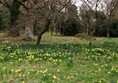 Balloch Castle & Country Park