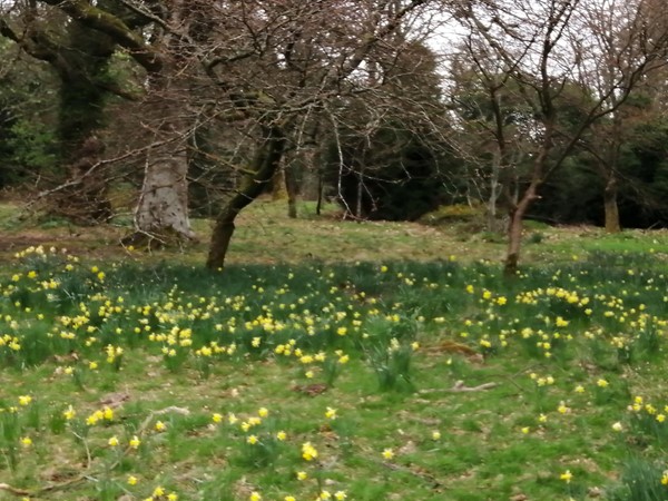 Balloch Castle & Country Park