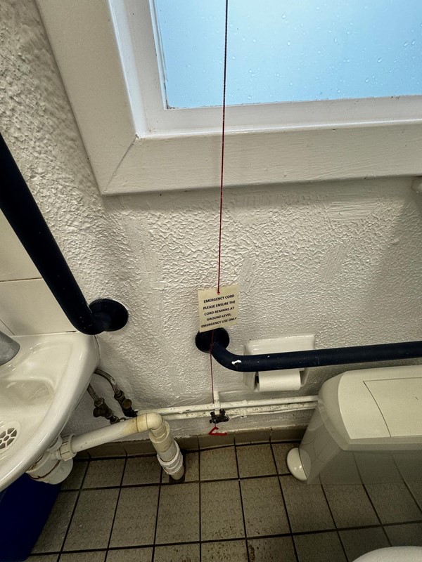 Toilet emergency cord