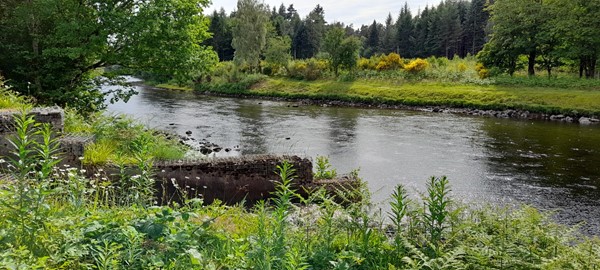 Picture of Fort Augustus Canal Walk