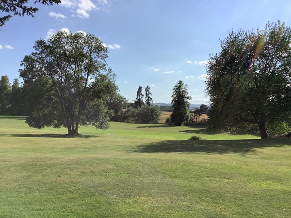 Tree lined landscape